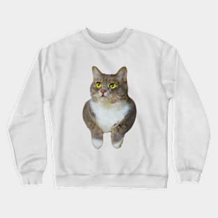 Funny cat with two arms painting Crewneck Sweatshirt